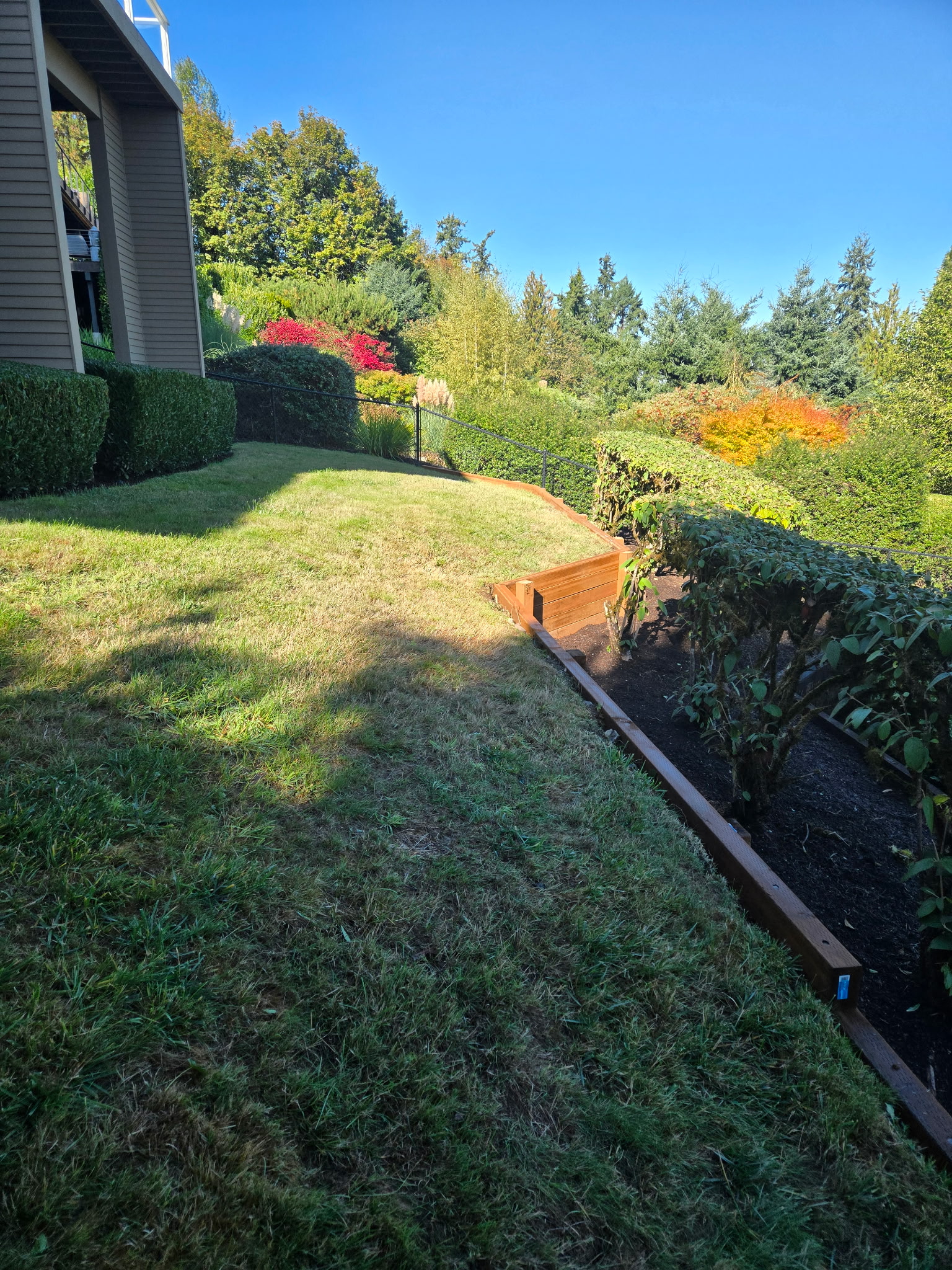 Fresh lawn with irrigation