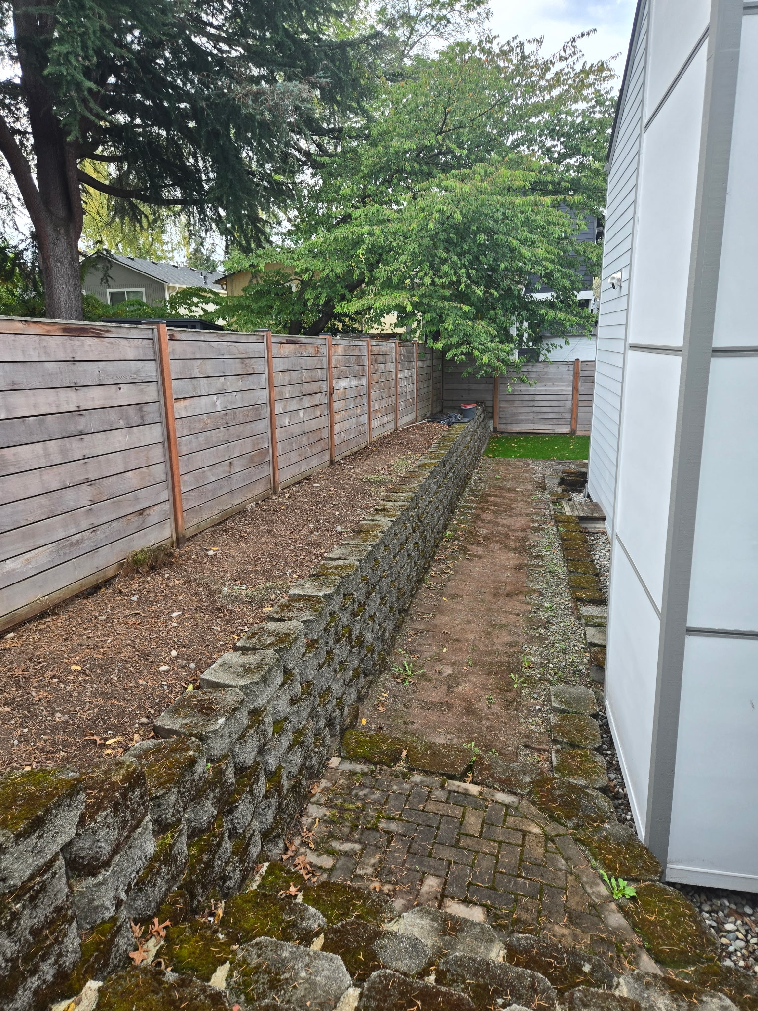 Before: Old mossy pathway