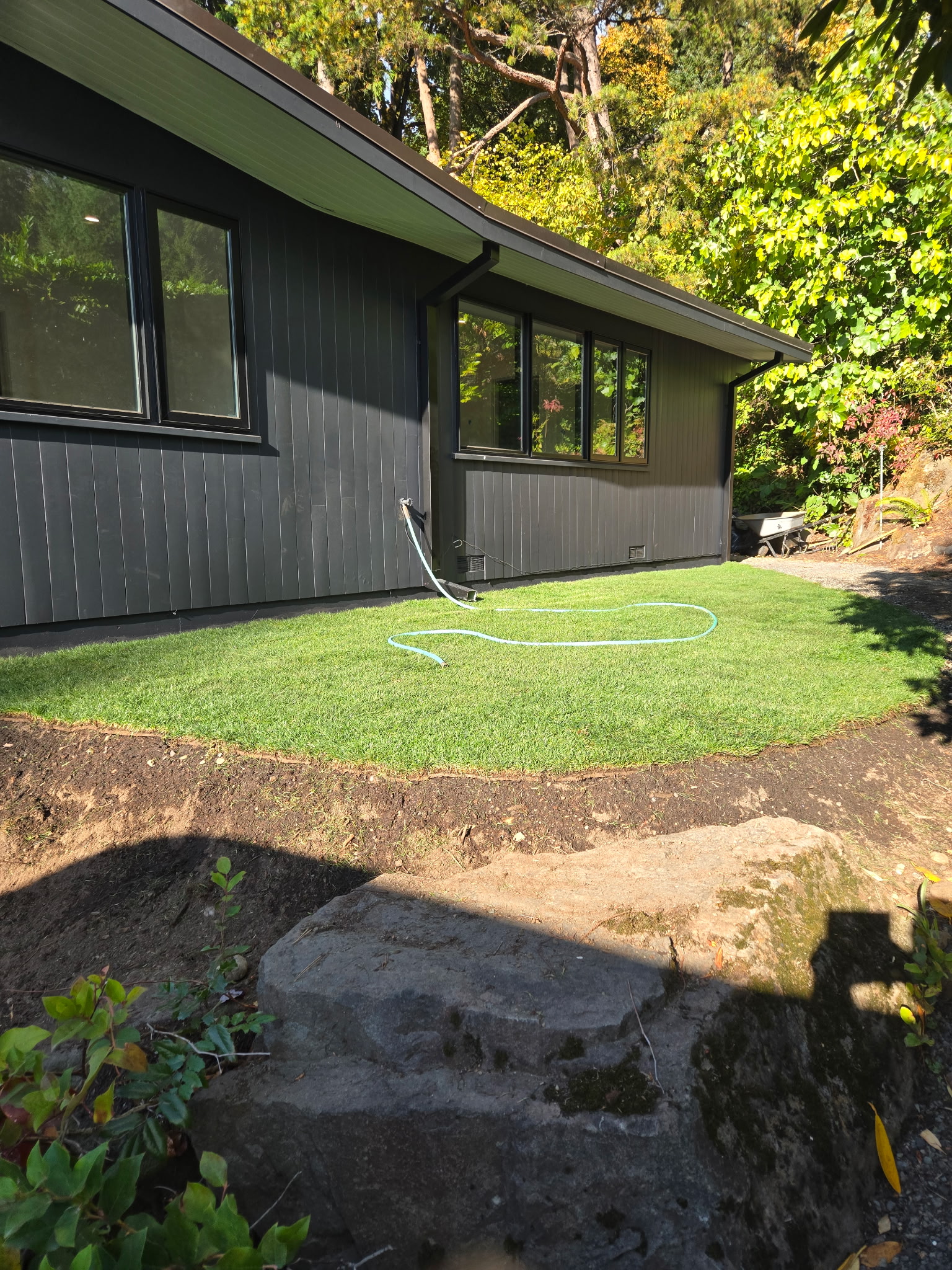 New sod installation