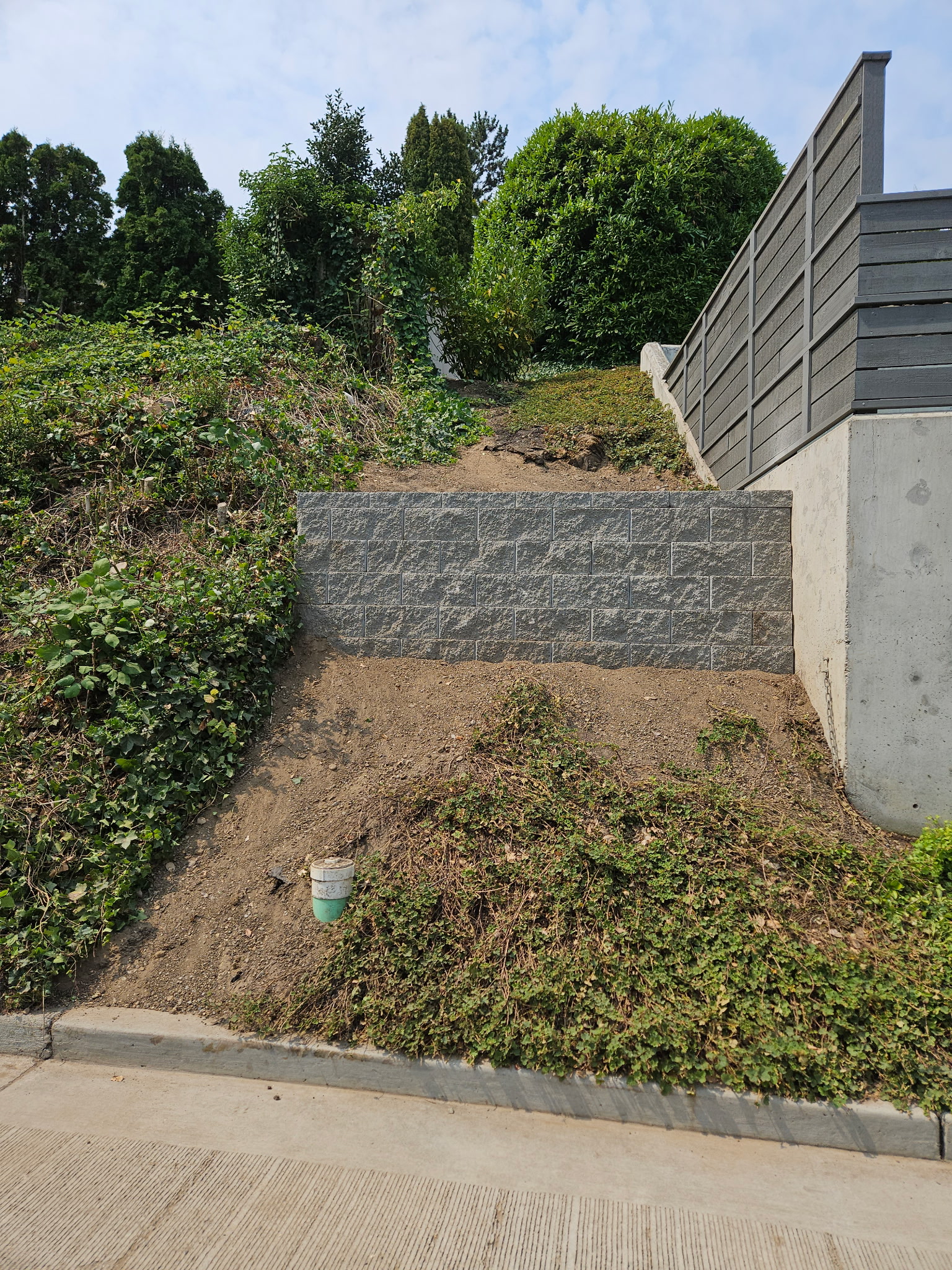 Before: Bare hillside