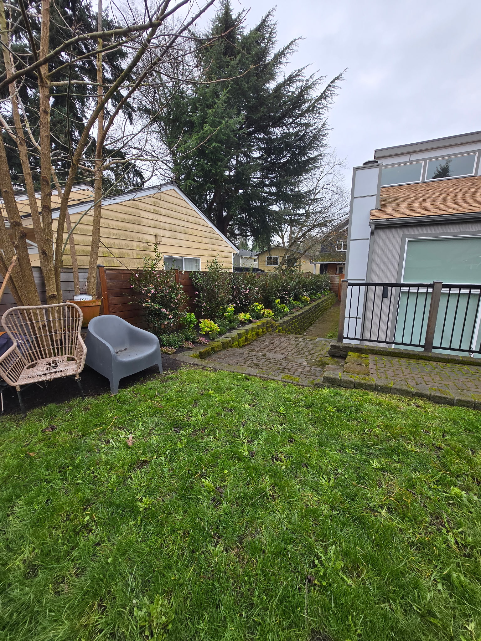 Backyard lawn maintenance