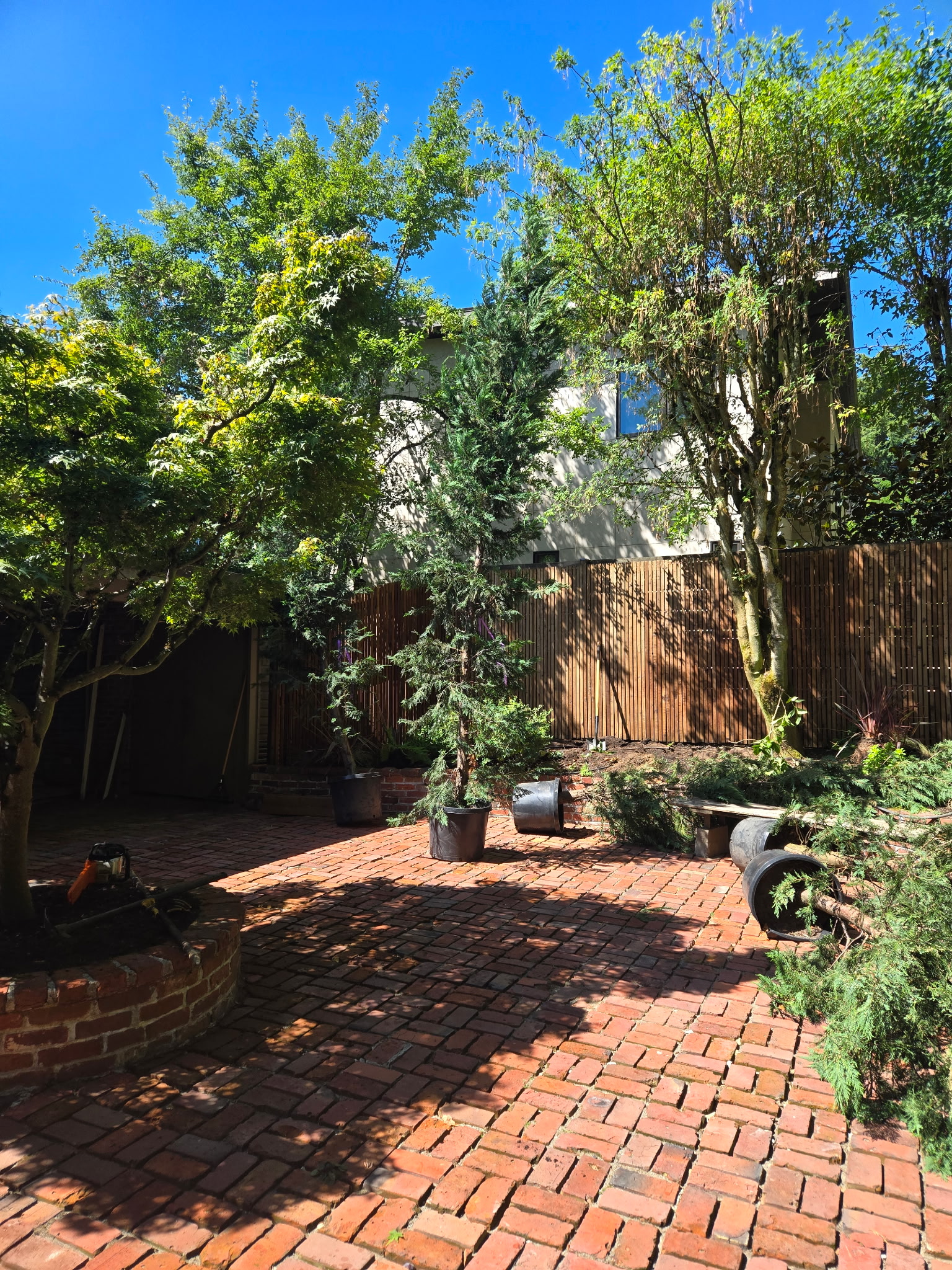 Brick patio with trees