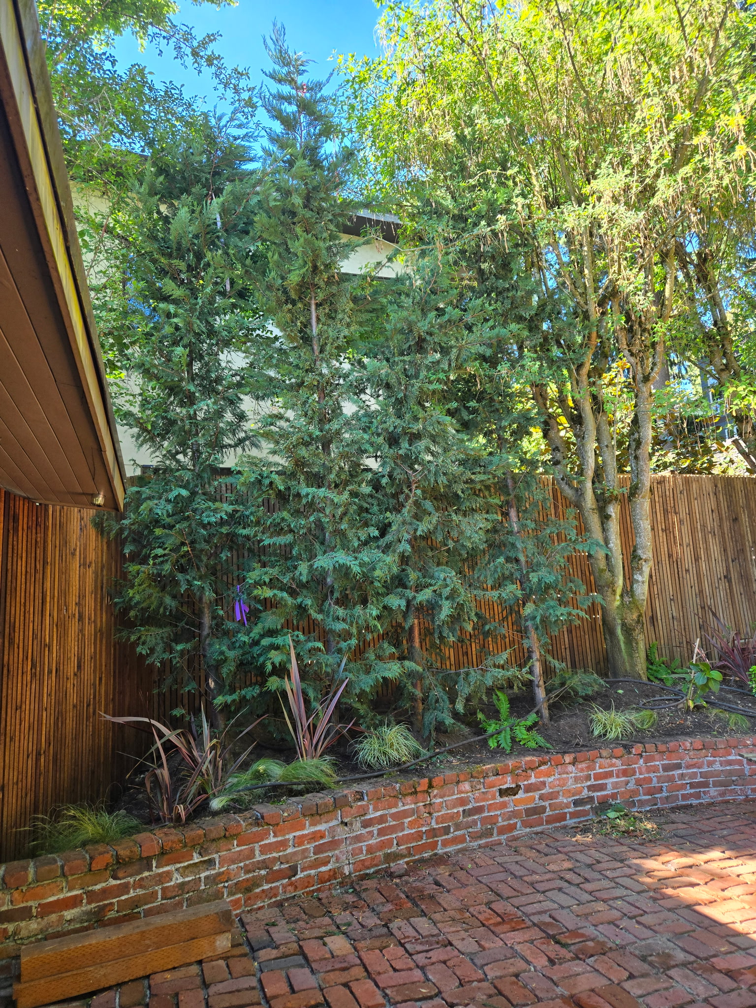 Brick patio with plantings