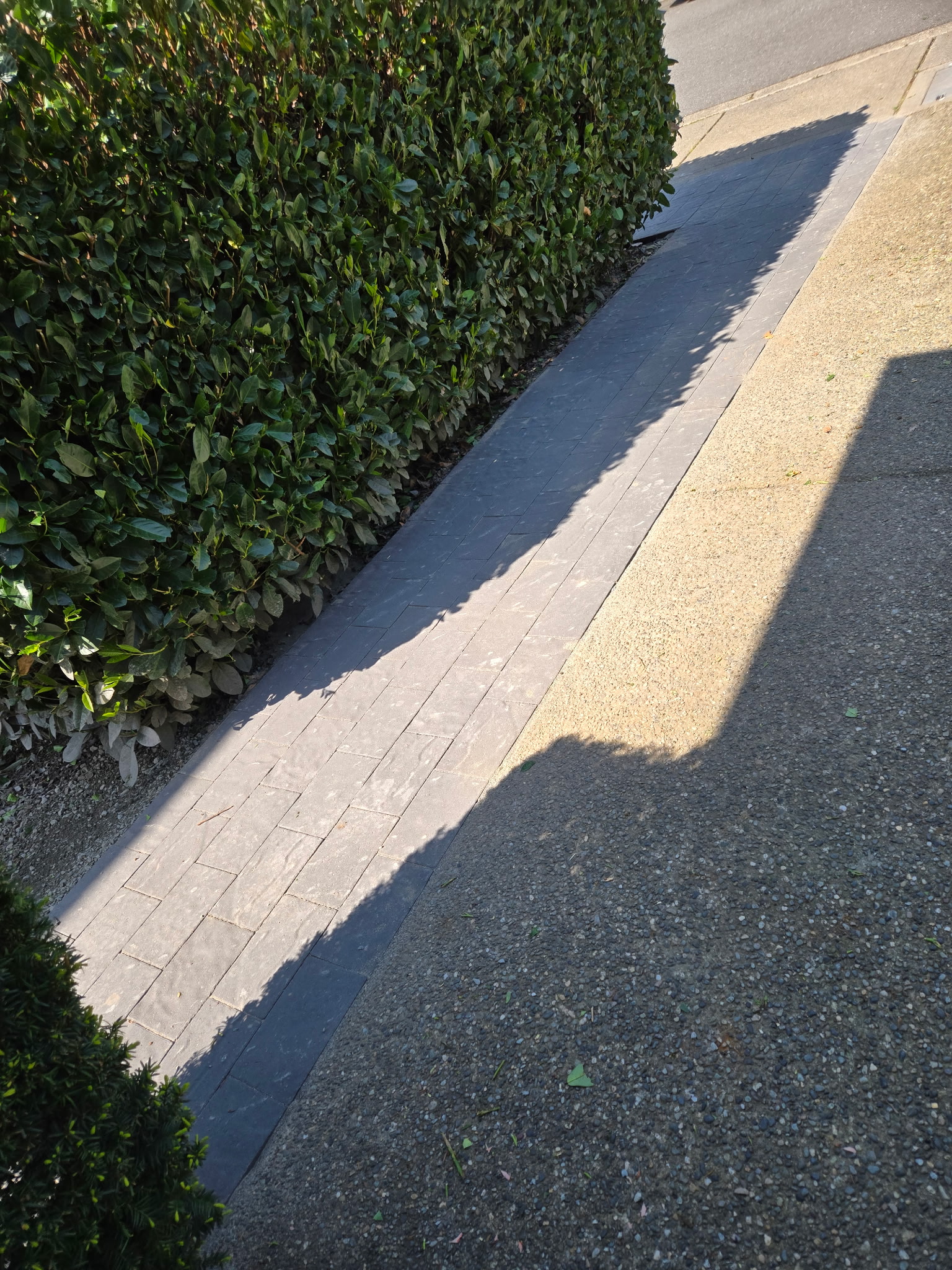 Paver border work