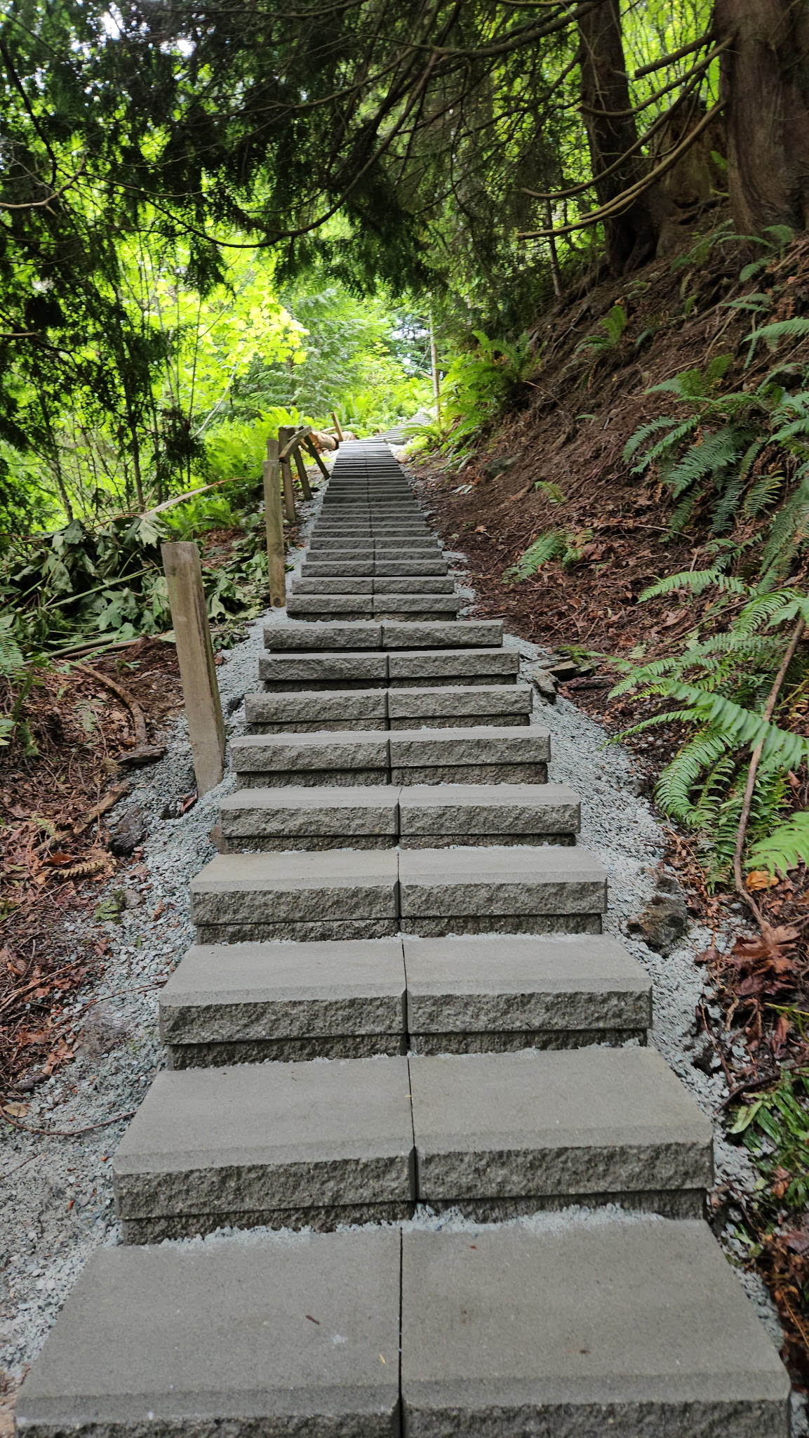Stone pathway through woods