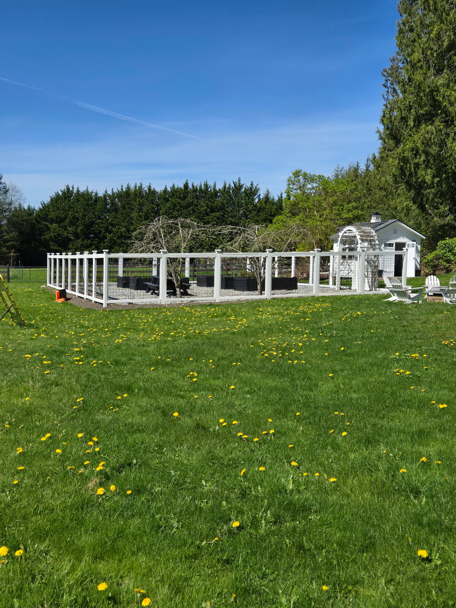 Large garden enclosure